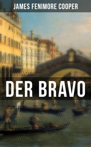 Cover of the book DER BRAVO by Jules Verne