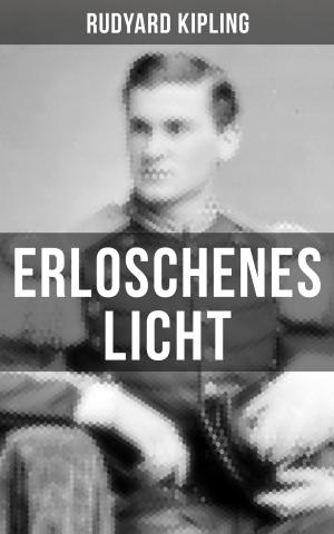 Cover of the book Erloschenes Licht by Robert Louis Stevenson