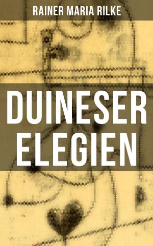 Book cover of Duineser Elegien