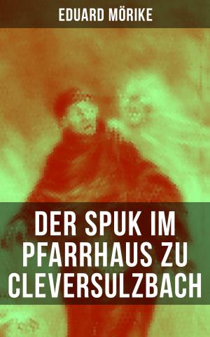 Cover of the book Der Spuk im Pfarrhaus zu Cleversulzbach by Aminah Iman