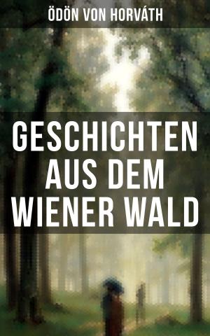 Cover of the book Geschichten aus dem Wiener Wald by Emilio Salgari