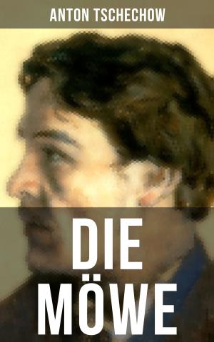 Cover of the book DIE MÖWE by Arthur Conan Doyle