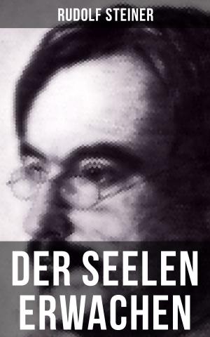 Cover of the book Der Seelen Erwachen by Paul Grabein
