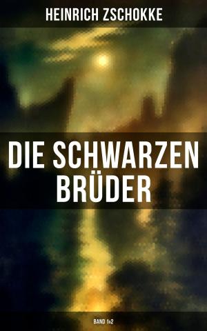 Cover of the book Die schwarzen Brüder (Band 1&2) by John R. Coryell