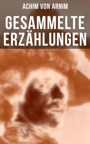 Cover of the book Gesammelte Erzählungen von Achim von Arnim by Unattributed 9/11 Photographer