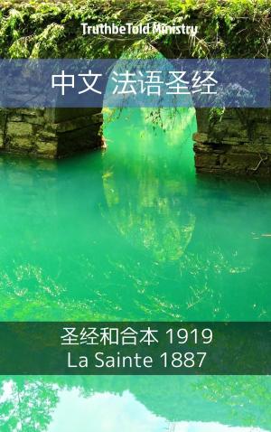 Cover of the book 中文 法语圣经 by Eötvös Károly