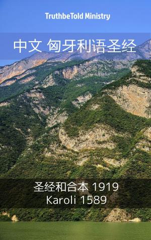 Cover of the book 中文 匈牙利语圣经 by Nikita Storm