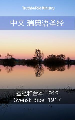 Cover of the book 中文 瑞典语圣经 by AF Morgan