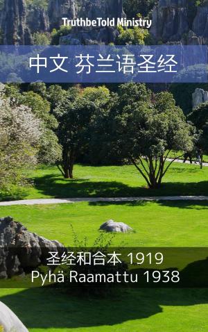 Cover of the book 中文 芬兰语圣经 by Steve Copland