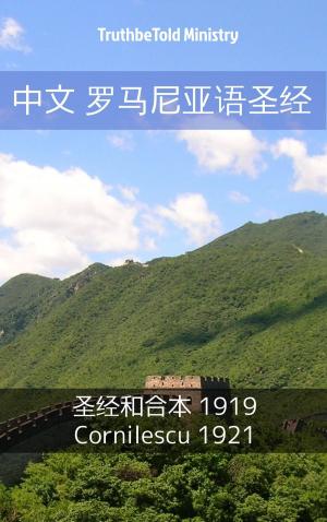 Cover of the book 中文 罗马尼亚语圣经 by Jenny Lee