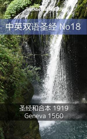 bigCover of the book 中英双语圣经 No18 by 