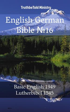 bigCover of the book English German Bible №16 by 