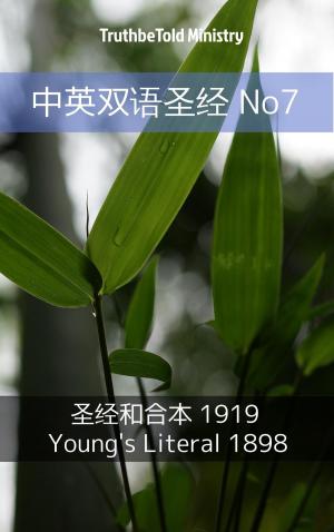 Cover of the book 中英双语圣经 No7 by Jason B. Tiller