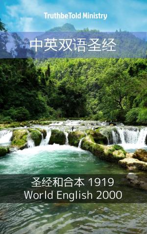 Cover of the book 中英双语圣经 by Nikita Storm