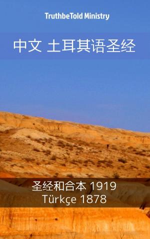 Cover of the book 中文 土耳其语圣经 by Eötvös Károly