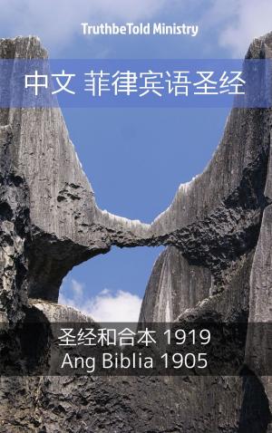 Cover of the book 中文 菲律宾语圣经 by Nikita Storm