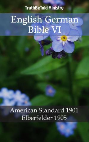 Cover of English German Bible VI