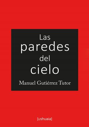 Cover of the book Las paredes del cielo by Daniel Huerta Goya