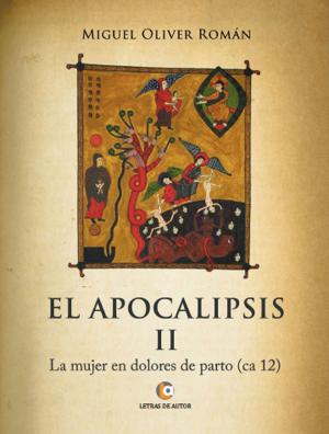 Cover of the book El Apocalipsis II by César ángel Abad Lera
