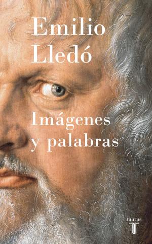 Cover of the book Imágenes y palabras by Lucía Serrano