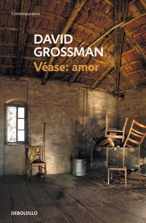 Cover of the book Véase: amor by Douglas Preston