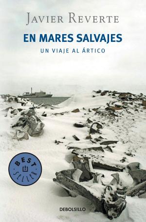 Cover of the book En mares salvajes by Allan Percy