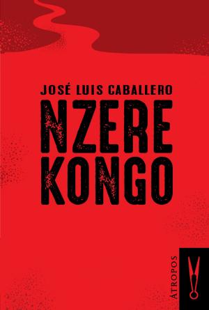 Cover of the book Nzere Kongo by Mark Souza