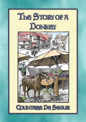 Book cover of THE STORY of a DONKEY - A Children's Story