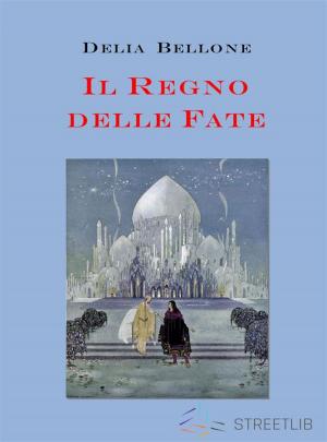 Cover of the book Il regno delle fate by Nathan Ritter
