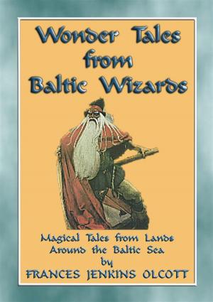 Book cover of WONDER TALES from BALTIC WIZARDS - 41 tales from the North and East Baltic Sea