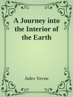Cover of the book A Journey into the Interior of the Earth by William Strunk