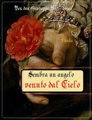 Cover of the book Sembra un angelo venuto dal Cielo by teresa d'avila
