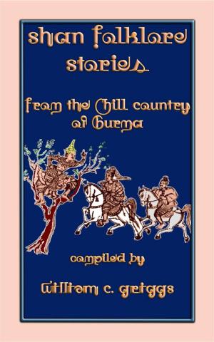 bigCover of the book SHAN FOLK LORE STORIES - 9 Children's Stories from the Hill Country of Old Burma by 