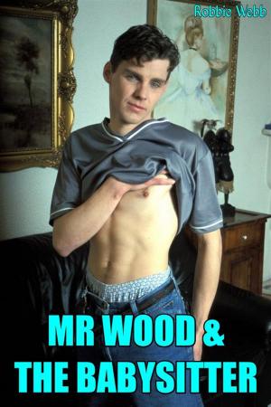 Cover of the book Mr Wood & The Babysitter by Nephy Hart