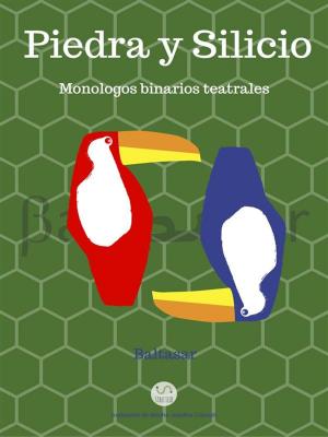 Cover of the book piedra y silicio by JH Gordon