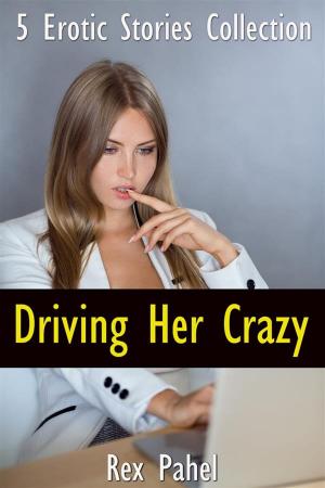 Cover of the book Driving Her Crazy: 5 Erotic Stories Collection by Montana Night