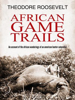 Cover of the book African Game Trails by George Bird Grinnell