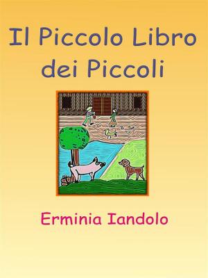 Book cover of Il Piccolo Libro dei Piccoli
