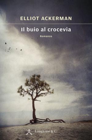 Cover of the book Il buio al crocevia by Cass Hunter