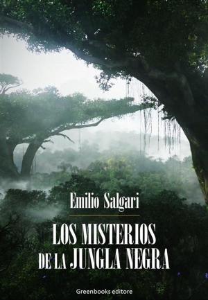 Cover of the book Los misterios de la jungla negra by Ernest Renan