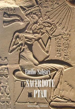 Cover of the book El sacerdote de Ptah by Julio Verne