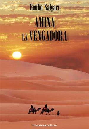 Cover of the book Amina la vengadora by Edgar Allan Poe