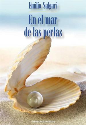 Cover of the book En el mar de las perlas by Augusto De Angelis