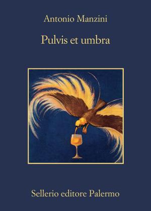 Cover of the book Pulvis et umbra by Jenny Erpenbeck