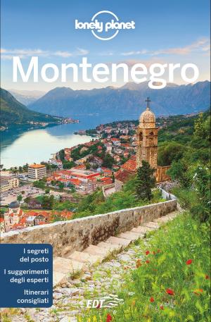 Cover of the book Montenegro by Bradley Mayhew, Lindsay Brown, Paul Stiles