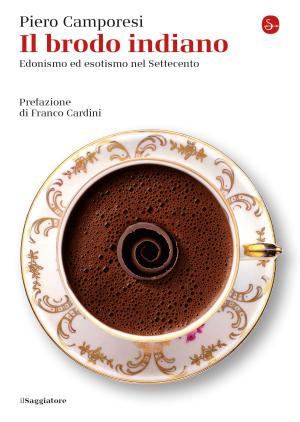 Cover of the book Il brodo indiano by Antonio Sciortino