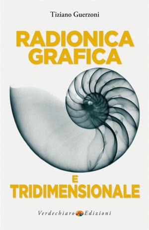 Cover of the book Radionica Grafica e Tridimensionale by Pincherle Mario