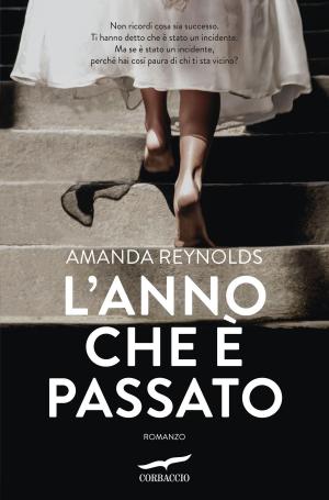 Cover of the book L'anno che è passato by Emilio Martini