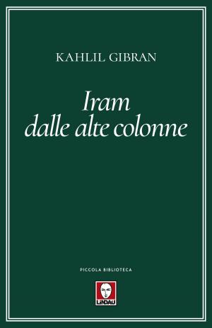 Cover of the book Iram dalle alte colonne by Silvana De Mari