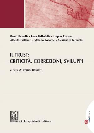 Cover of the book Il Trust: criticità, correzioni, sviluppi by Claudia Zagaria